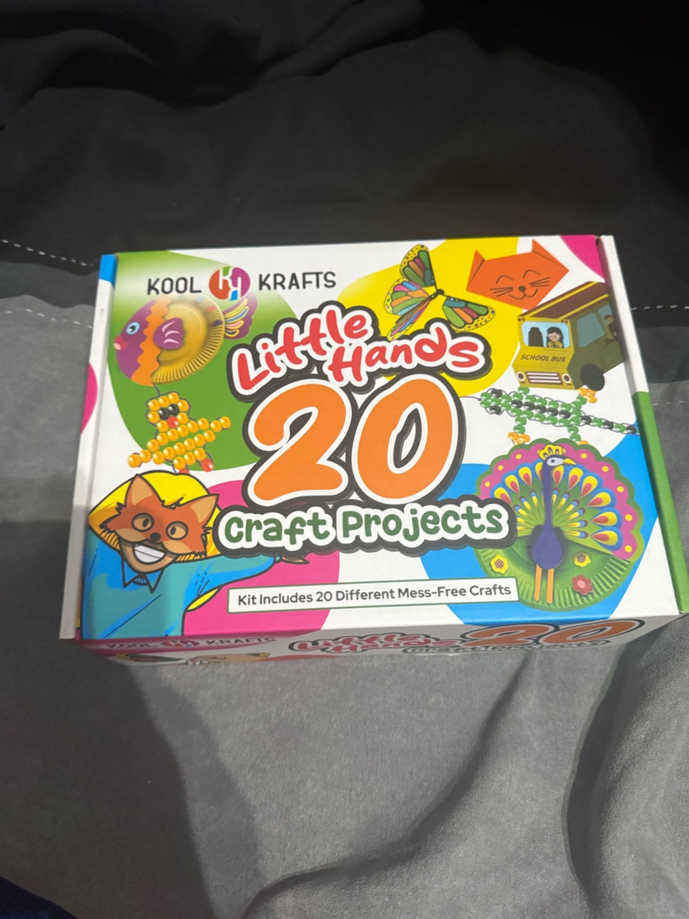 Little Hands 20 Craft Projects - Multicolor